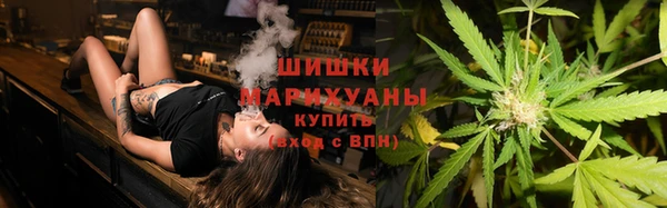 первитин Новозыбков