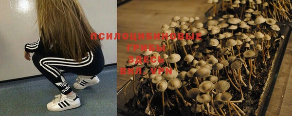 дурь Новокубанск