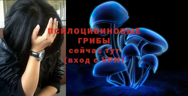 jwh Новодвинск